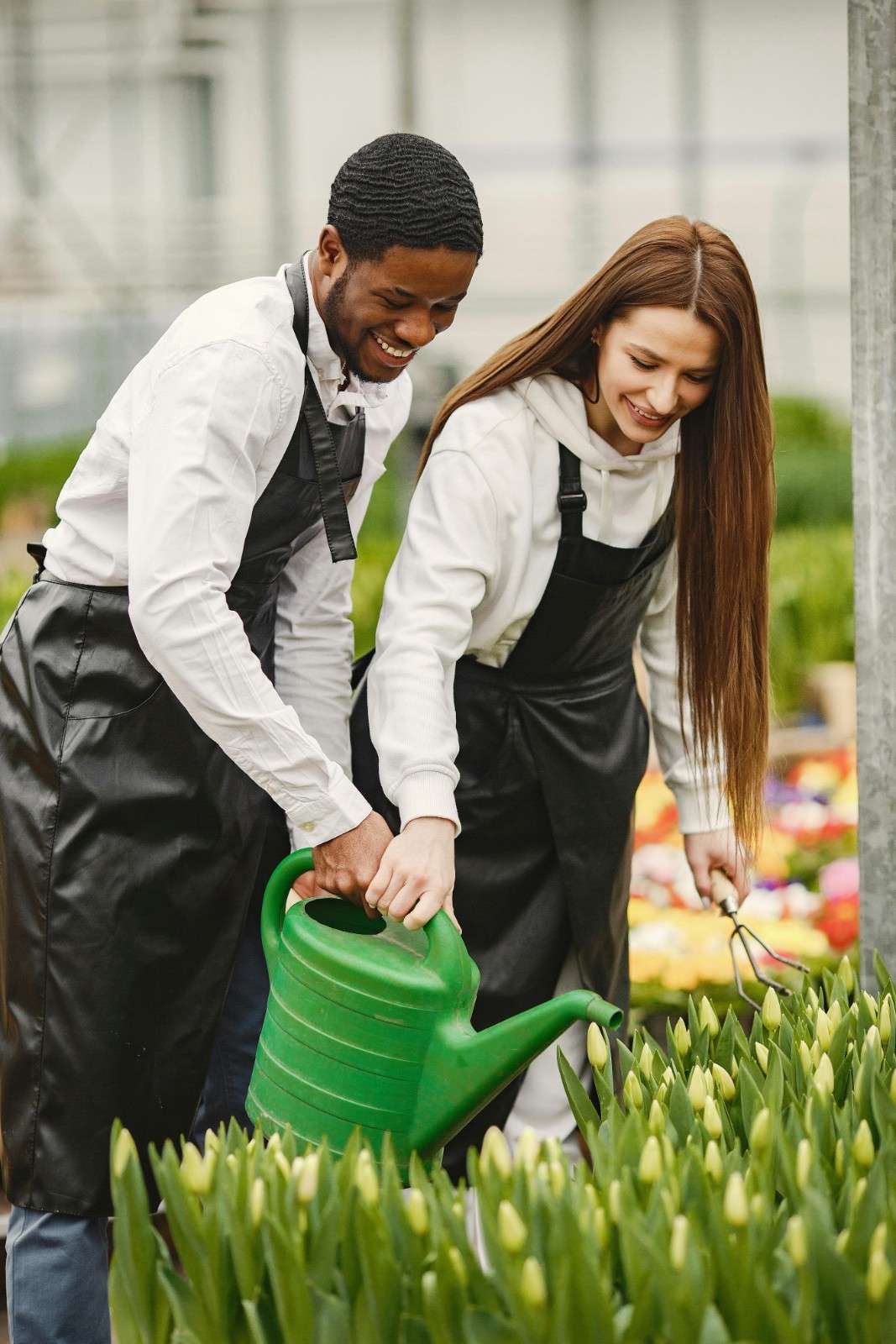 Expert Gardening Team